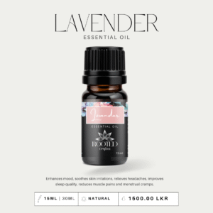 Lavender Essential Oil