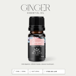 Ginger Essential Oil