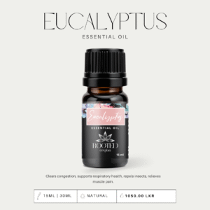 Eucalyptus Essential Oil