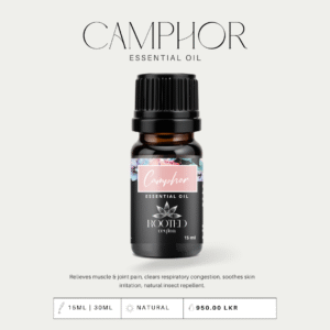 Camphor Essential Oil