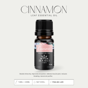 Cinnamon Leaf Essential Oil