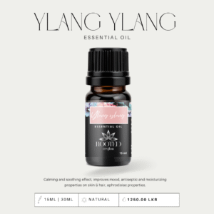 Ylang Ylang Essential Oil