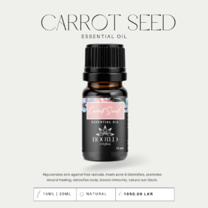 Carrot Seed Essential Oil