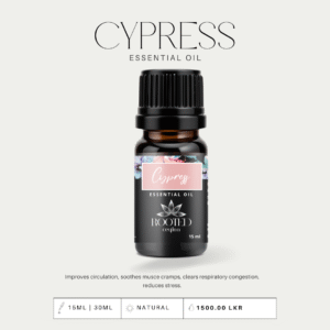 Cypress Essential Oil